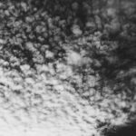 6 neue Postkarten im Shop 1