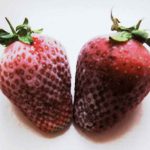 6 neue Postkarten im Shop 4