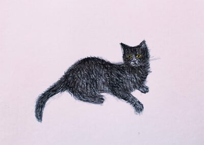 Postkarte BLACK CAT