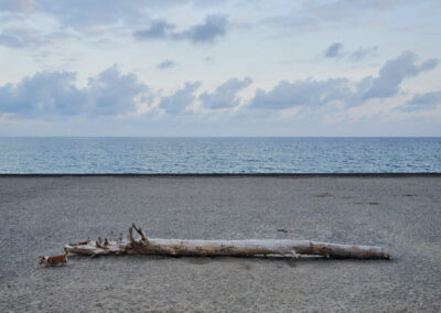 Postkarte "Strandgut" von Michael Scherer